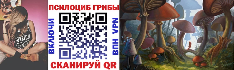 Псилоцибиновые грибы ЛСД  блэк спрут ссылки  Усть-Джегута  где можно купить  