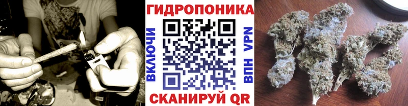 Шишки марихуана OG Kush  Усть-Джегута 